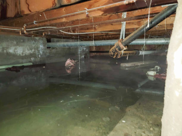 , CT Water damage restoration Company