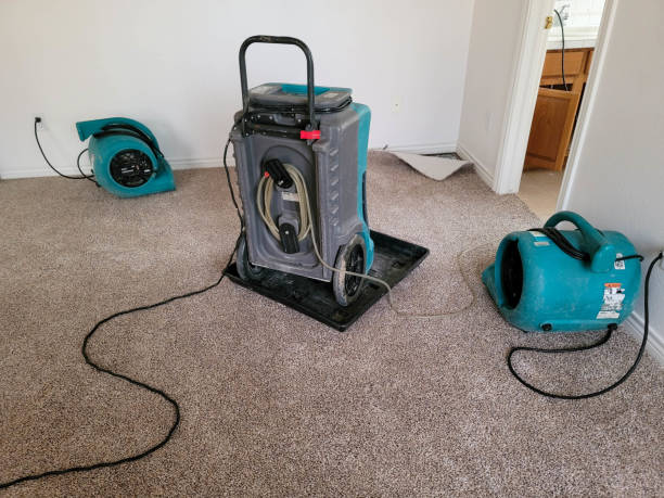 Best Flood damage cleanup  in Jewett City, CT