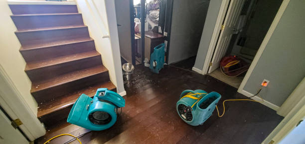 Best Sewage cleanup and water damage restoration  in Jewett City, CT