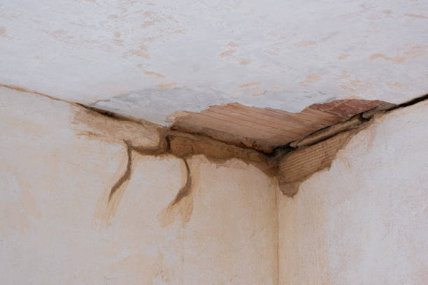  Jewett City, CT Water damage restoration Pros