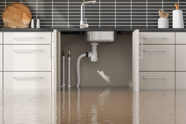 Best Water damage contractors near me  in Jewett City, CT