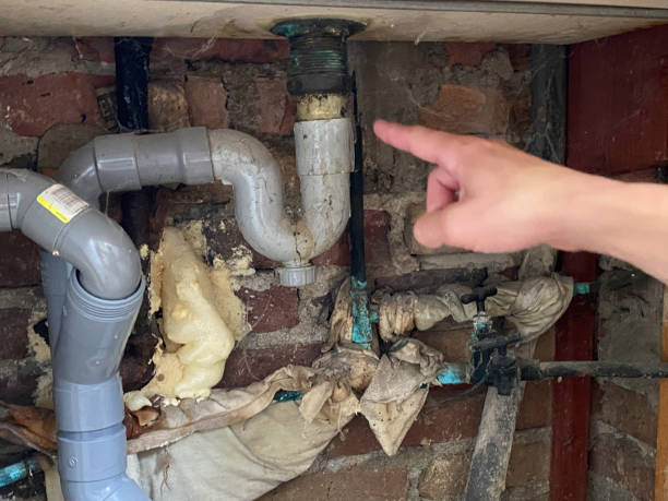 Best Flooded house restoration  in Jewett City, CT